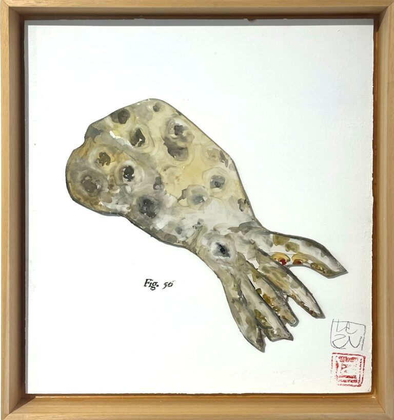 Fig. 50 bajorrelieve: aguada sobre yeso 43x38 cm 450 €