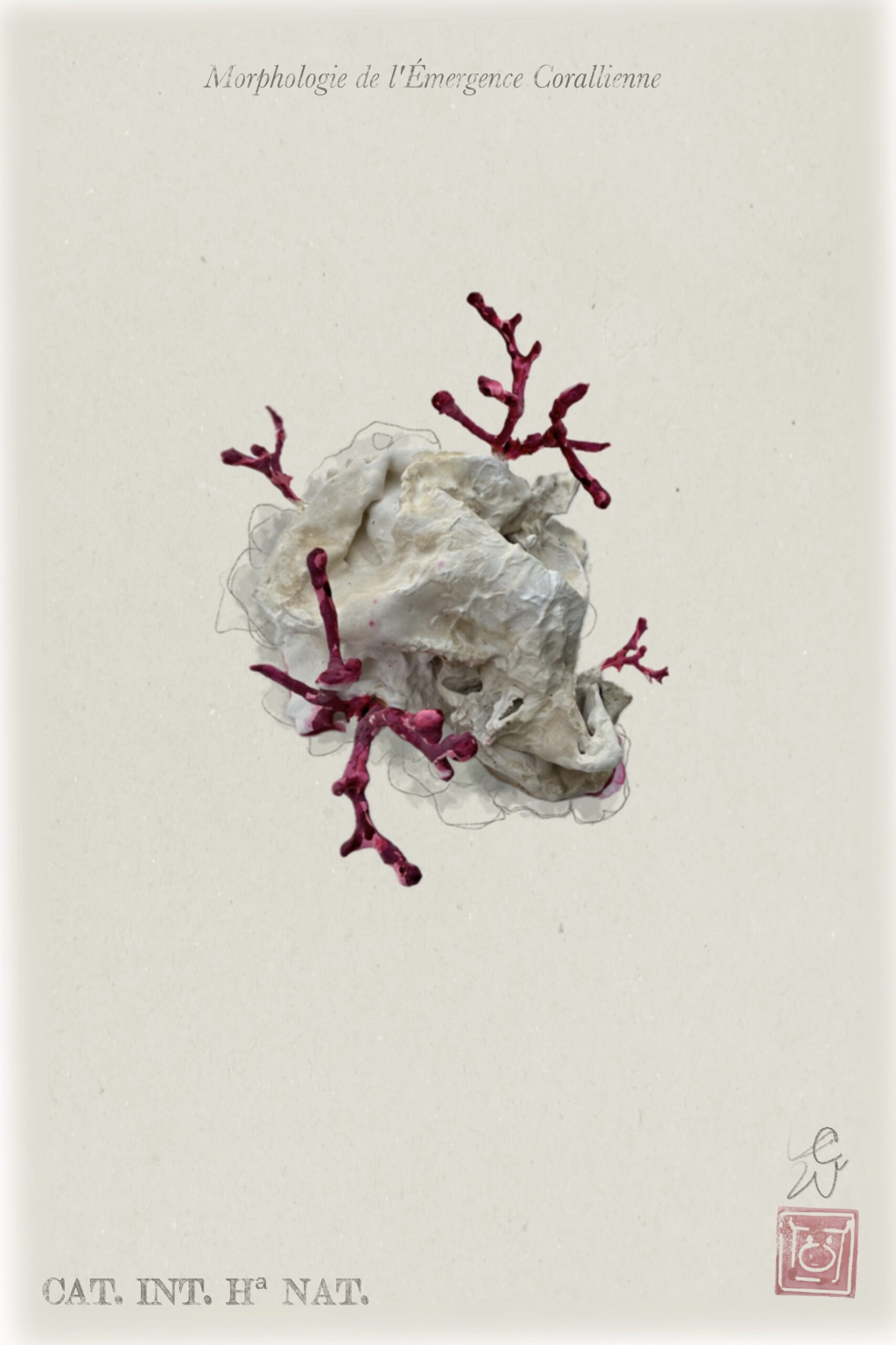 Relieve policromado de la serie Catálogo Íntimo de Historia Natural, obra original de Luis Zambrano Valdivia