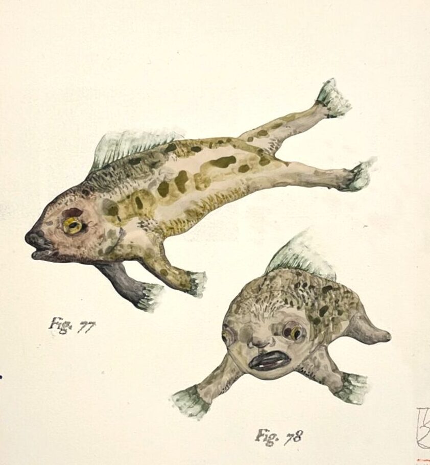 Fig. 77 y 78 bajorrelieve: aguada sobre yeso 43x38 cm 450 €