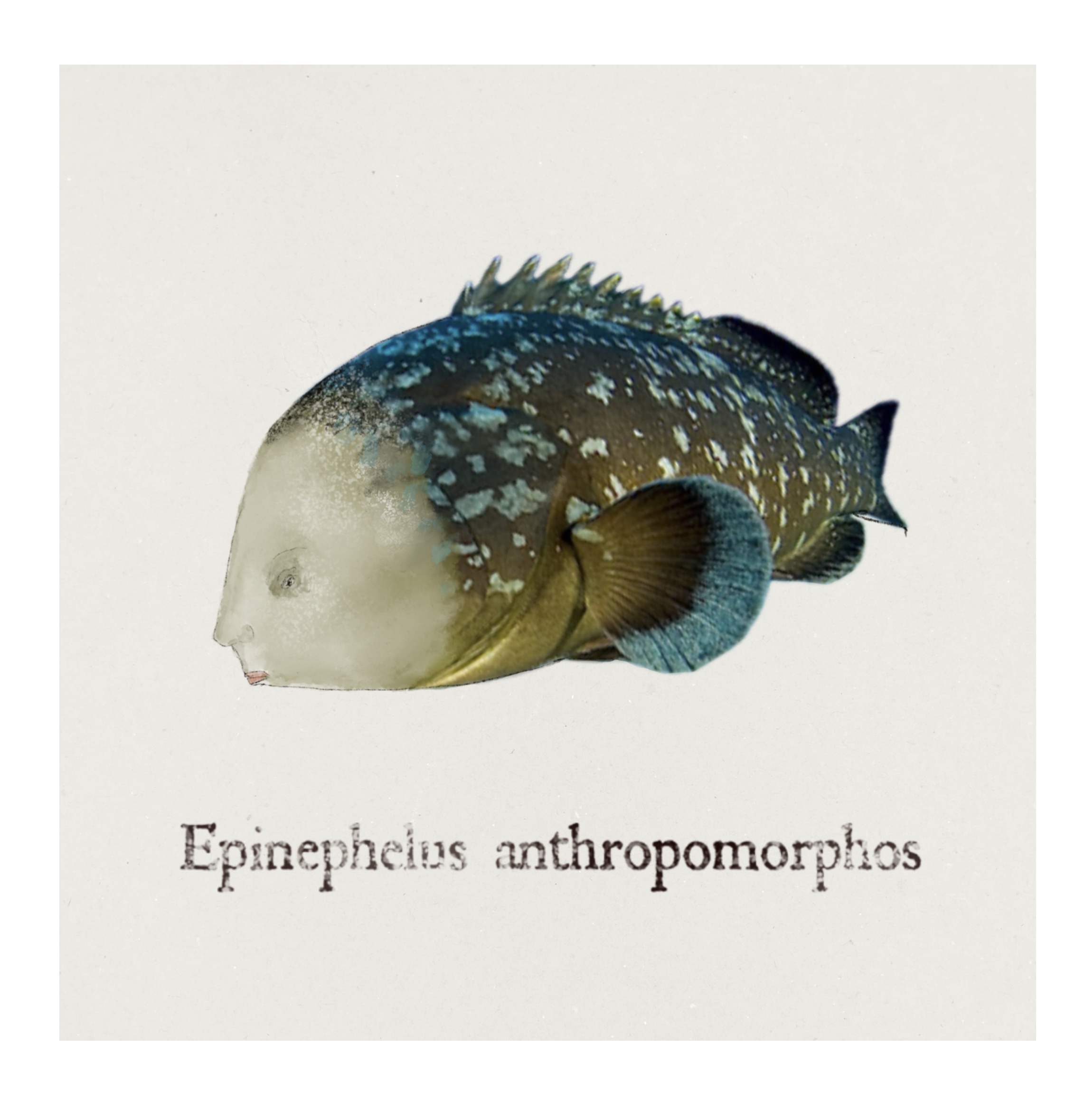 Relieve policromado con acuarela sobre madera estucada, obra original de Luis Carlos Zambrano Valdivia