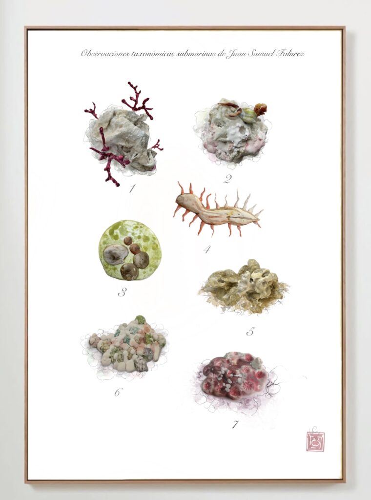 Relieve policromado de la serie Catálogo Íntimo de Historia Natural, obra original de Luis Zambrano Valdivia