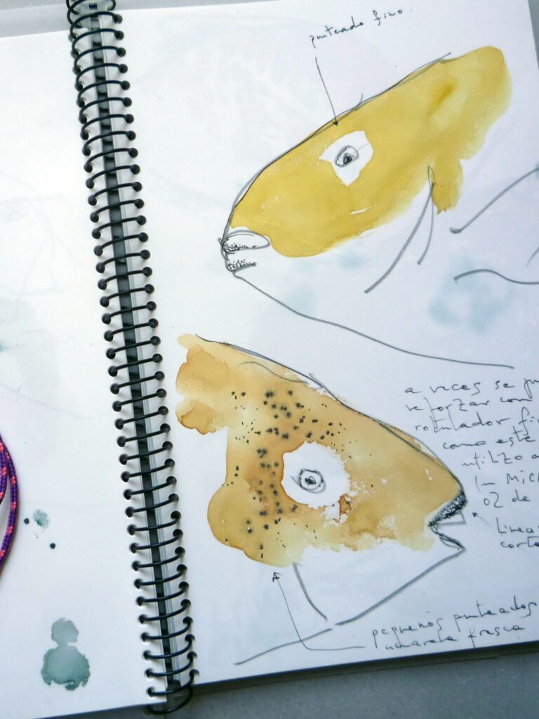 Dibujo de grafito sobre papel piedra  con ligera aguada de color, obra de Luis Zambrano Valdivia perteneciente a a serie Observata Maritima Adnotationes