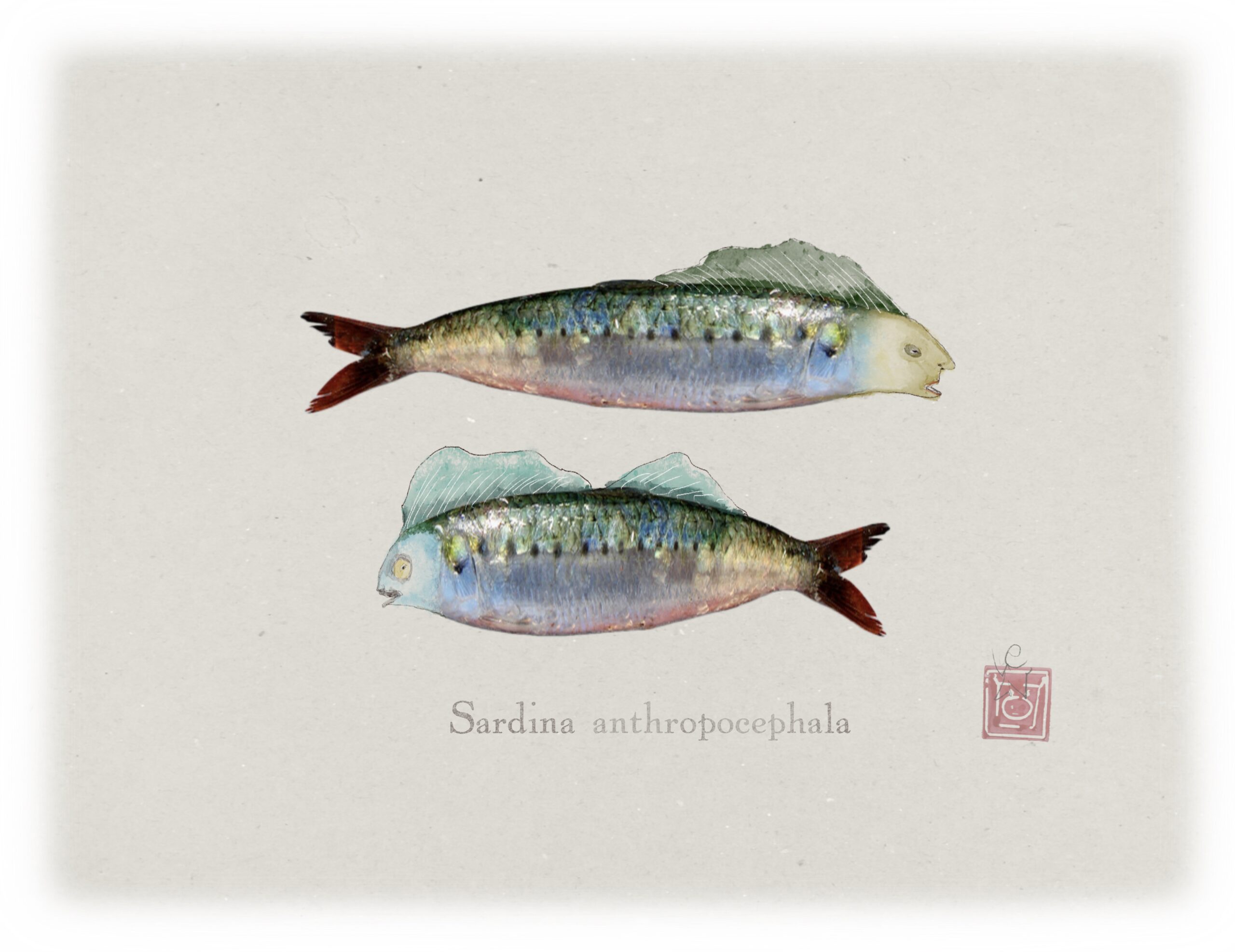 Relieve policromado con acuarela sobre madera estucada, obra original de Luis Carlos Zambrano Valdivia